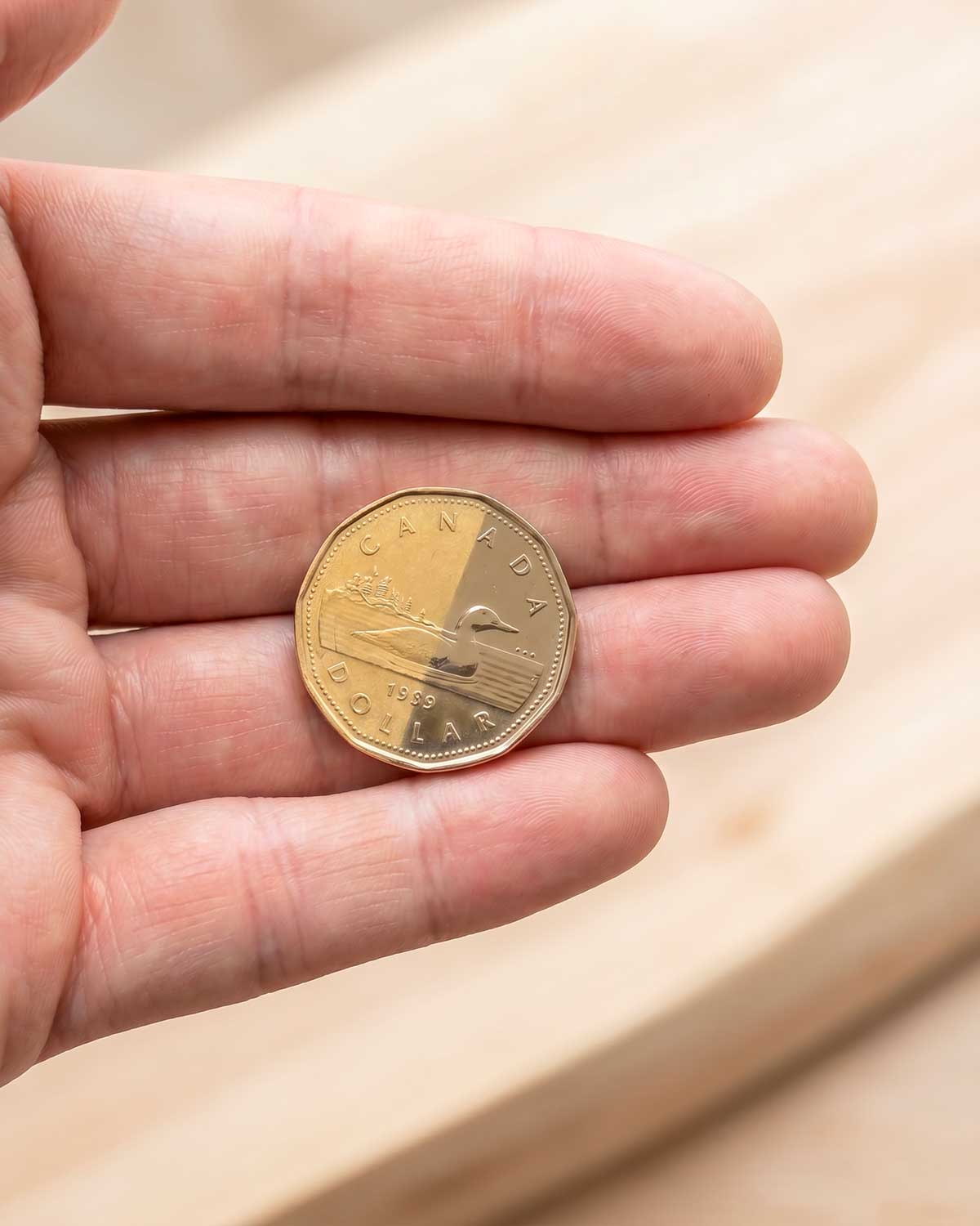 Can You Polish a Coin Without Destroying Its Value?